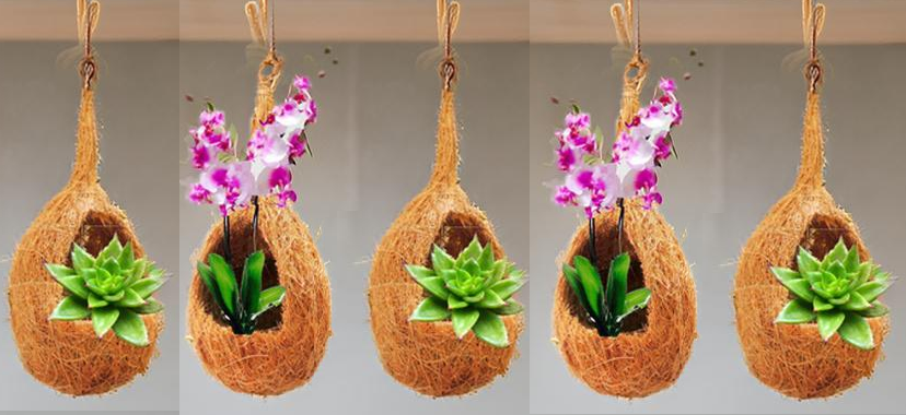 ZENRISE® Hanging Coir Planter for Orchid, Succulent, air Plants Indoor Balcony and Outdoor, Vertical Garden - Beige, 5 Piece