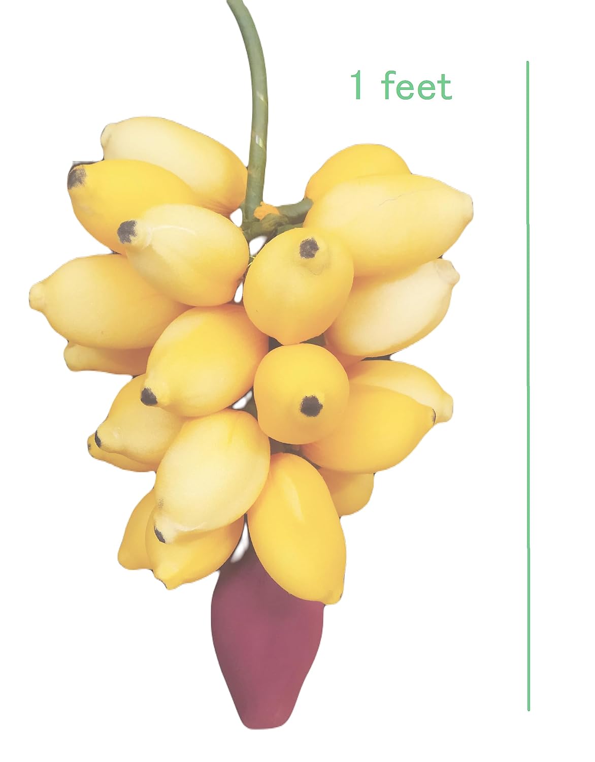 ZENRISE Artificial Banana Hanging Handicraft Festival Decoration Varalakshmi Vratham (Yellow, 2 Pieces)