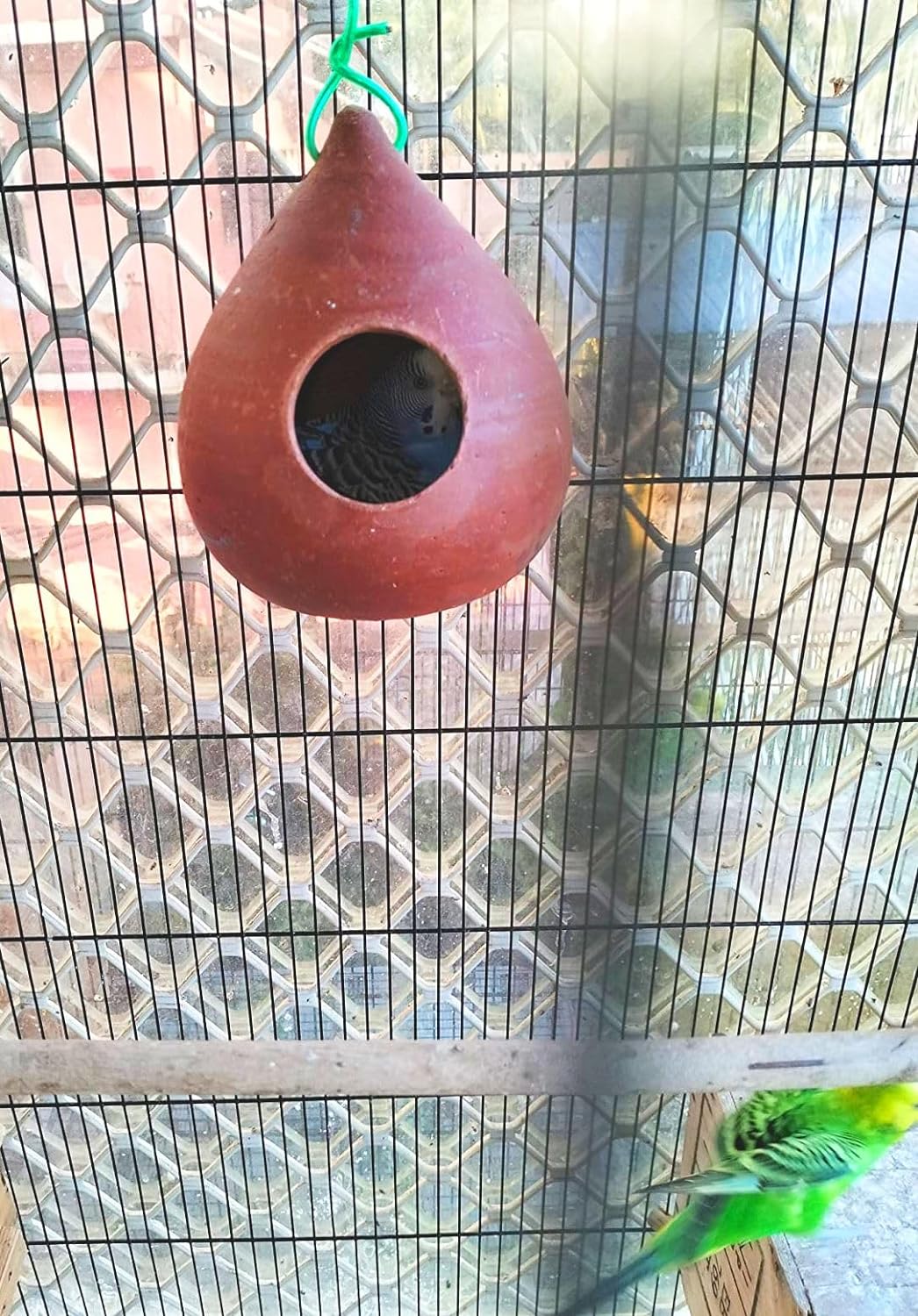 ZENRISE® Clay Bird House for breeding, Egg Laying pet and Free Birds (Terracotta, Brown, 14 cm) - 1 Piece
