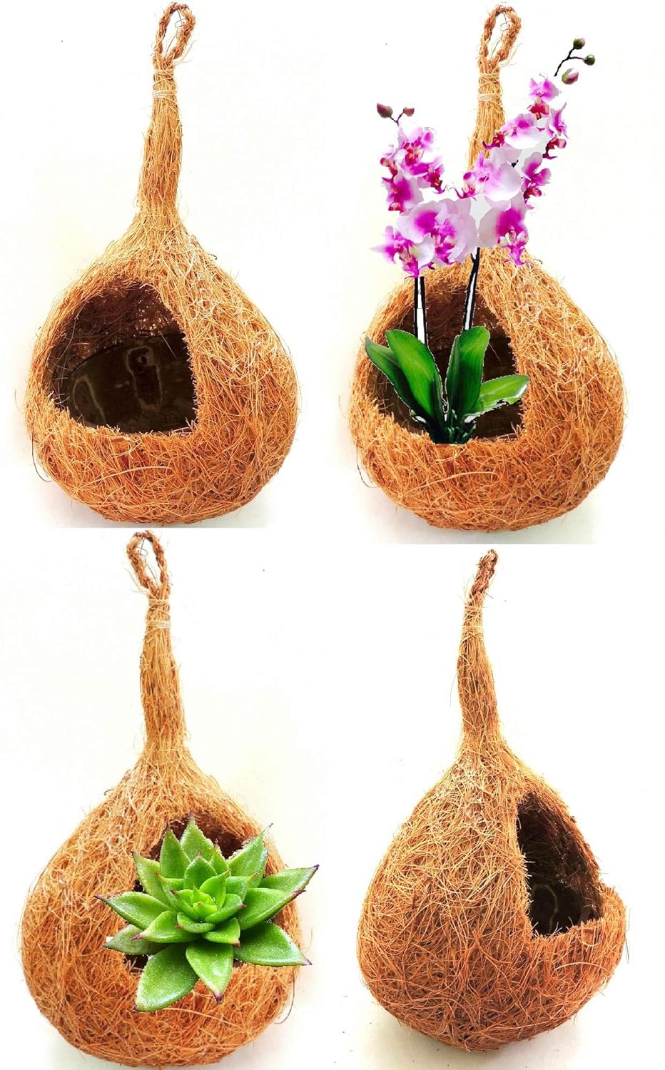 ZENRISE Coir and Coconut Shell Hanging Planters for Orchids air Succulent Plants Indoor, Bird Nest Shape, 20 x 13 cm, Pack of 4