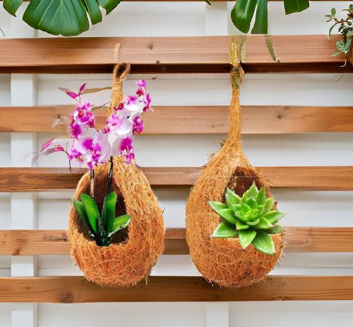 ZENRISE® Hanging Coir Planter for Orchid, Succulent, air Plants Indoor Balcony and Outdoor, Vertical Garden - Beige, 5 Piece