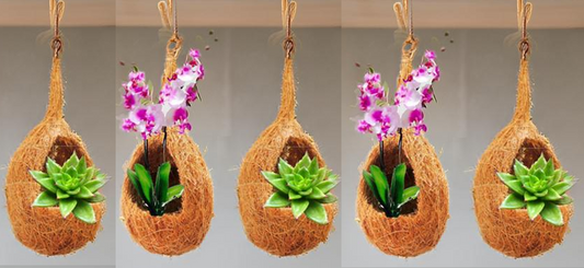 ZENRISE® Hanging Coir Planter for Orchid, Succulent, air Plants Indoor Balcony and Outdoor, Vertical Garden - Beige, 5 Piece