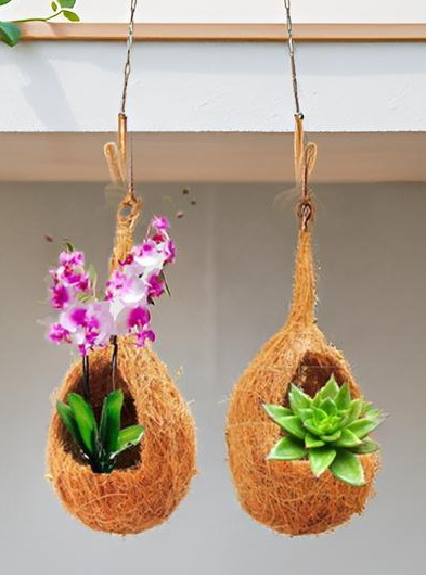 ZENRISE® Hanging Coir Planter for Orchid, Succulent, air Plants Indoor Balcony and Outdoor, Vertical Garden - Beige, 5 Piece