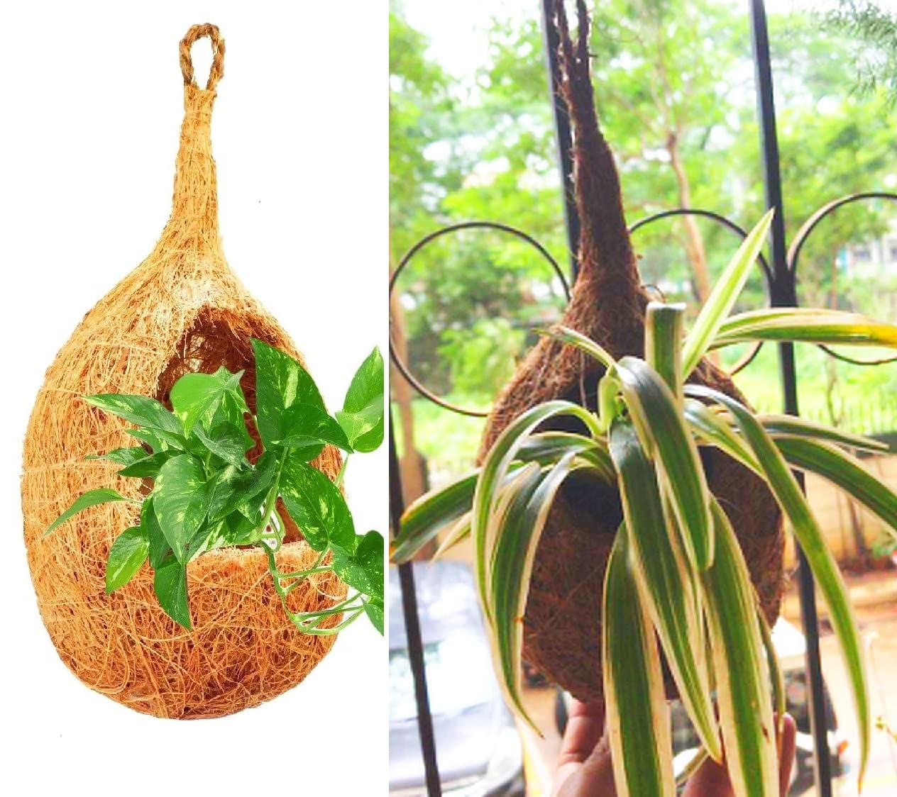 ZENRISE® Hanging Coir Planter for Orchid, Succulent, air Plants Indoor Balcony and Outdoor, Vertical Garden - Beige, 5 Piece