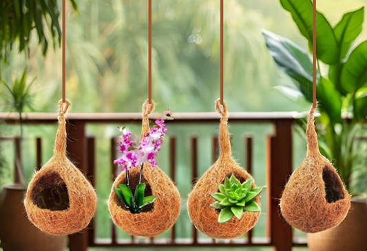 ZENRISE Coir and Coconut Shell Hanging Planters for Orchids air Succulent Plants Indoor, Bird Nest Shape, 20 x 13 cm, Pack of 4